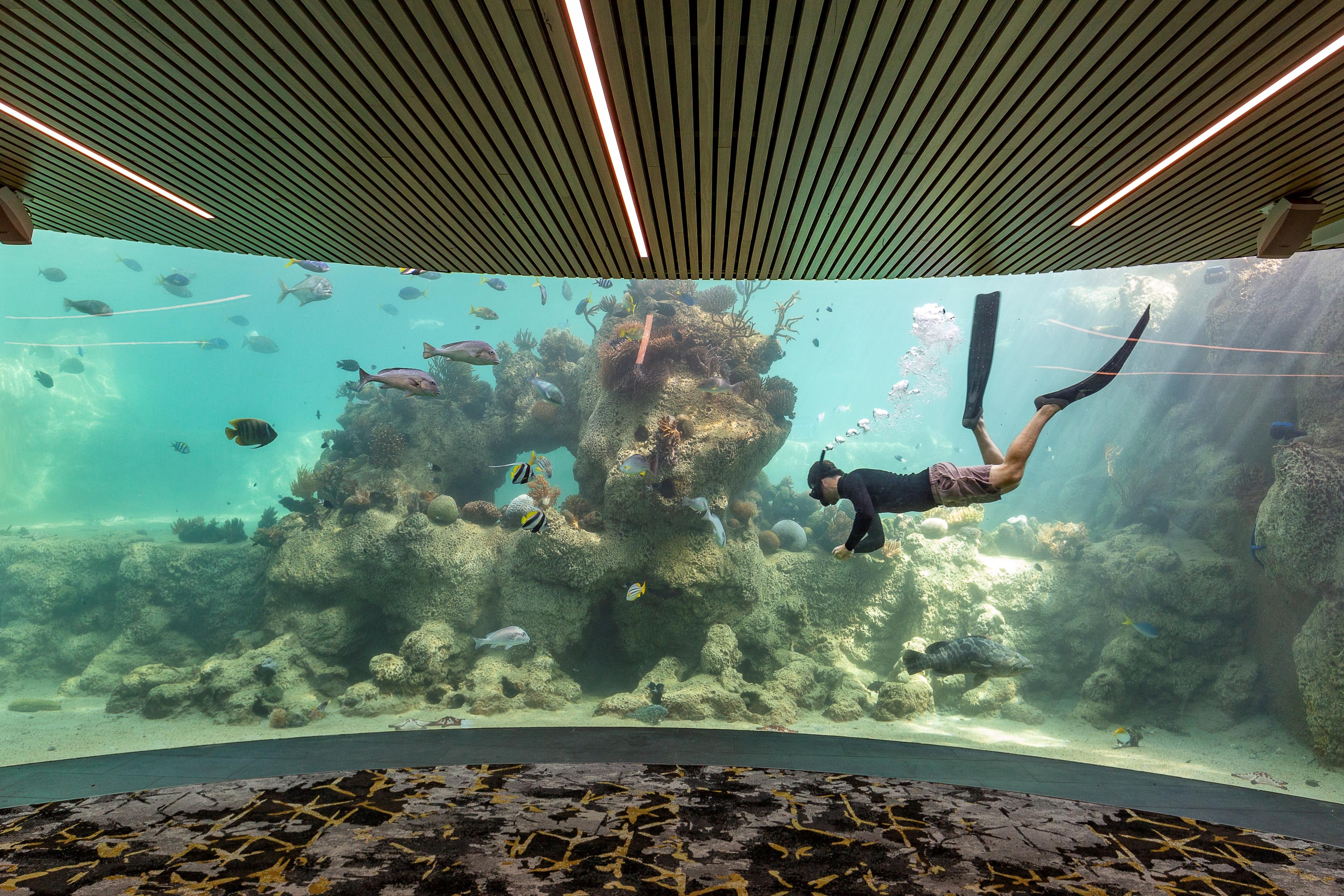 Daydream Island Resort Ngoại thất bức ảnh